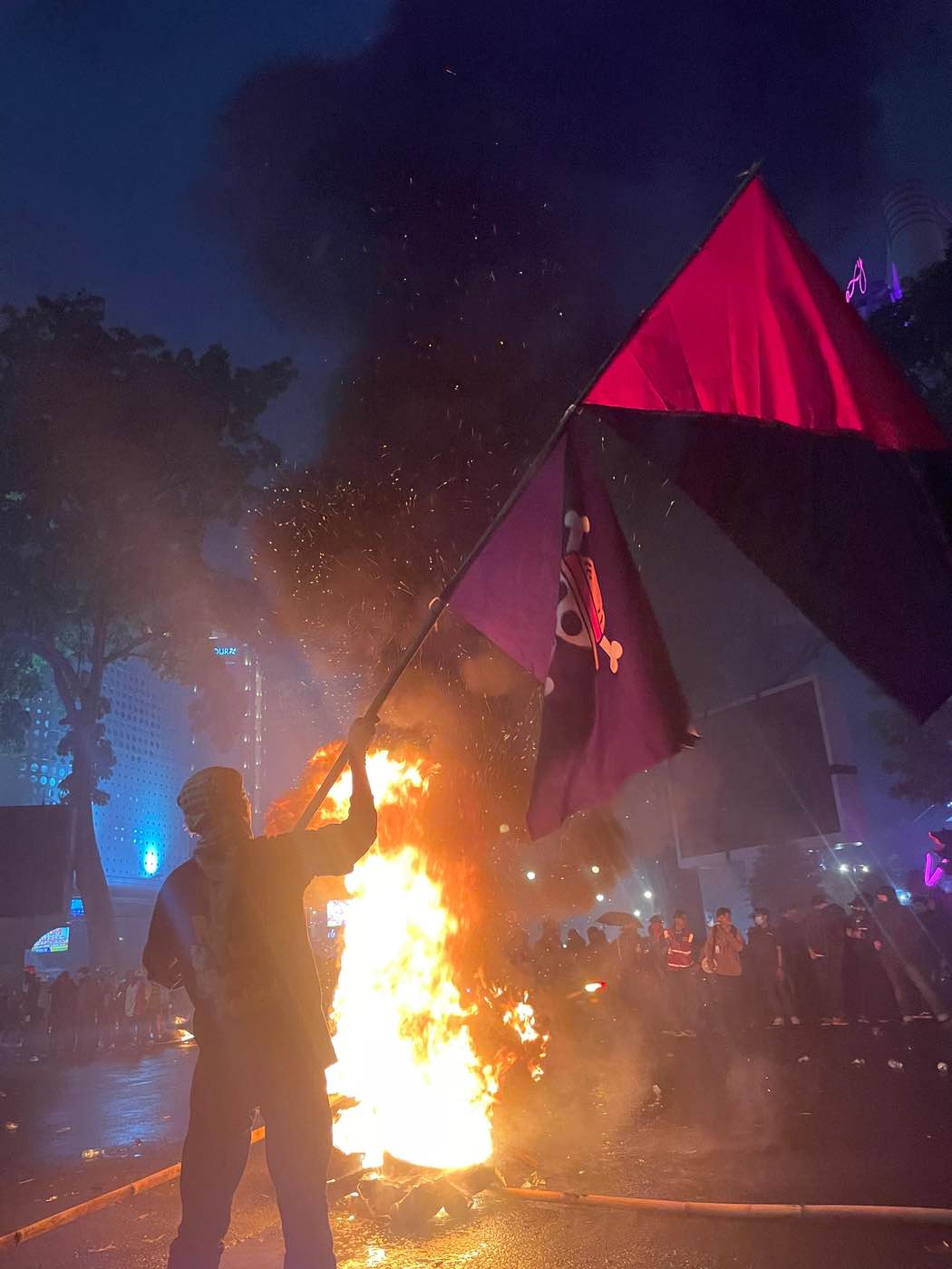 Anarchist mit roter-schwarzer anarchistische Flagge unter der die One Piece Jolly Roger hängt