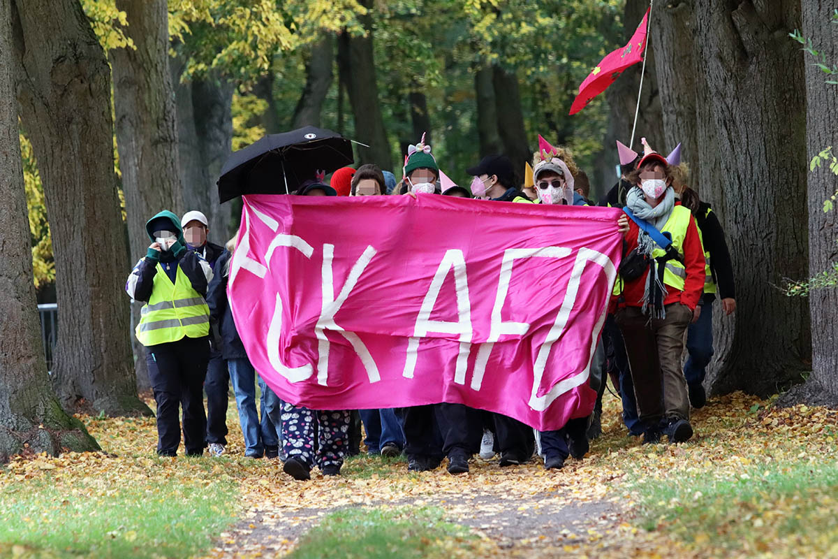 Das Foto von © kinkalitzken zeigt einige Menschen mit Einhornhütchen und anderem Kopf und Gesichtsschmuck hinter dem pinken Transparent mit dem Text "FCK AFD"