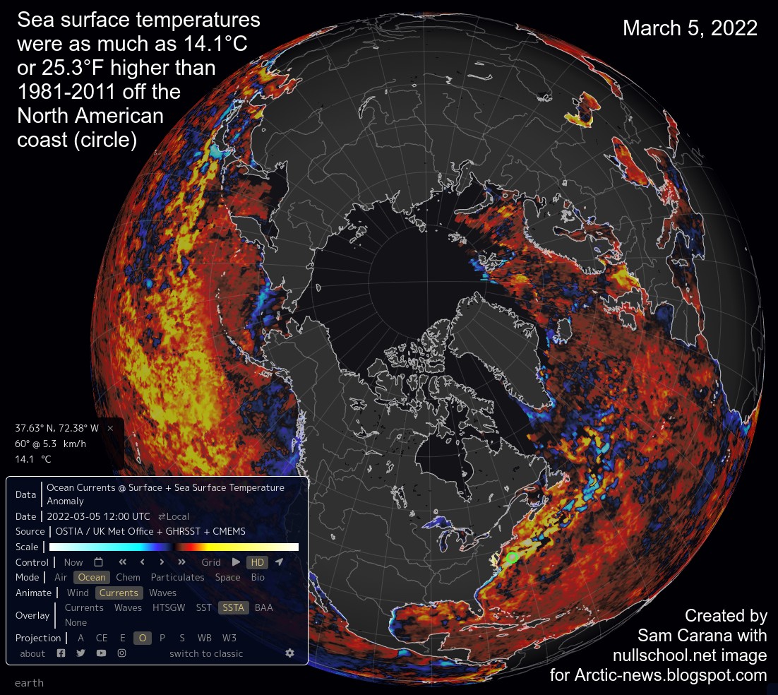 Das Bild der nordlichen Erdhabkugel, von oben auf den Nordpol gesehen, zeigt, dass die Meeresoberflächentemperaturen am 5. März 2022 vor der nordamerikanischen Küste (grüner Kreis) um bis zu 14,1 °C höher waren als im Zeitraum 1981–2011