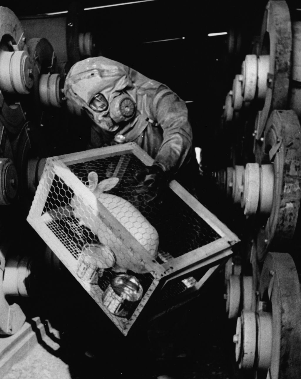 Das Foto zeigt einen Menschen in einem ABC Schutzanzug, der einen Kaninchenkäfig trägt. Darin sitzt ein Kaninchen zur Überprüfung auf Undichtigkeiten in einer Sarin-Nervengas-Produktionsanlage im Rocky Mountain Arsenal, Commerce City, Colorado, 20. März 1970