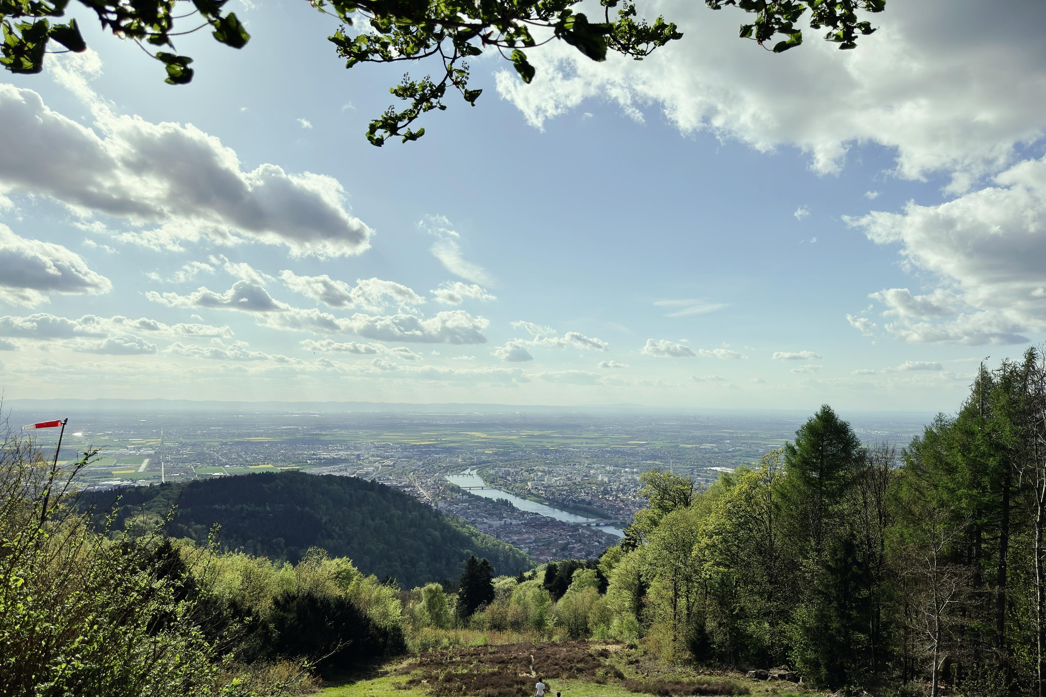 Ein Blick vom Königsstuhl auf Heidelberg und Mannheim.