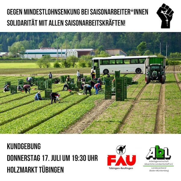Das SharePic zeigt die Eckdaten zur Kundgebung, und ein Foto von Erntearbeiter:Innen bei der Arbeit auf dem Feld